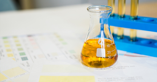 Dịch vụ R&D liên tục và chia sẻ sản phẩm mới